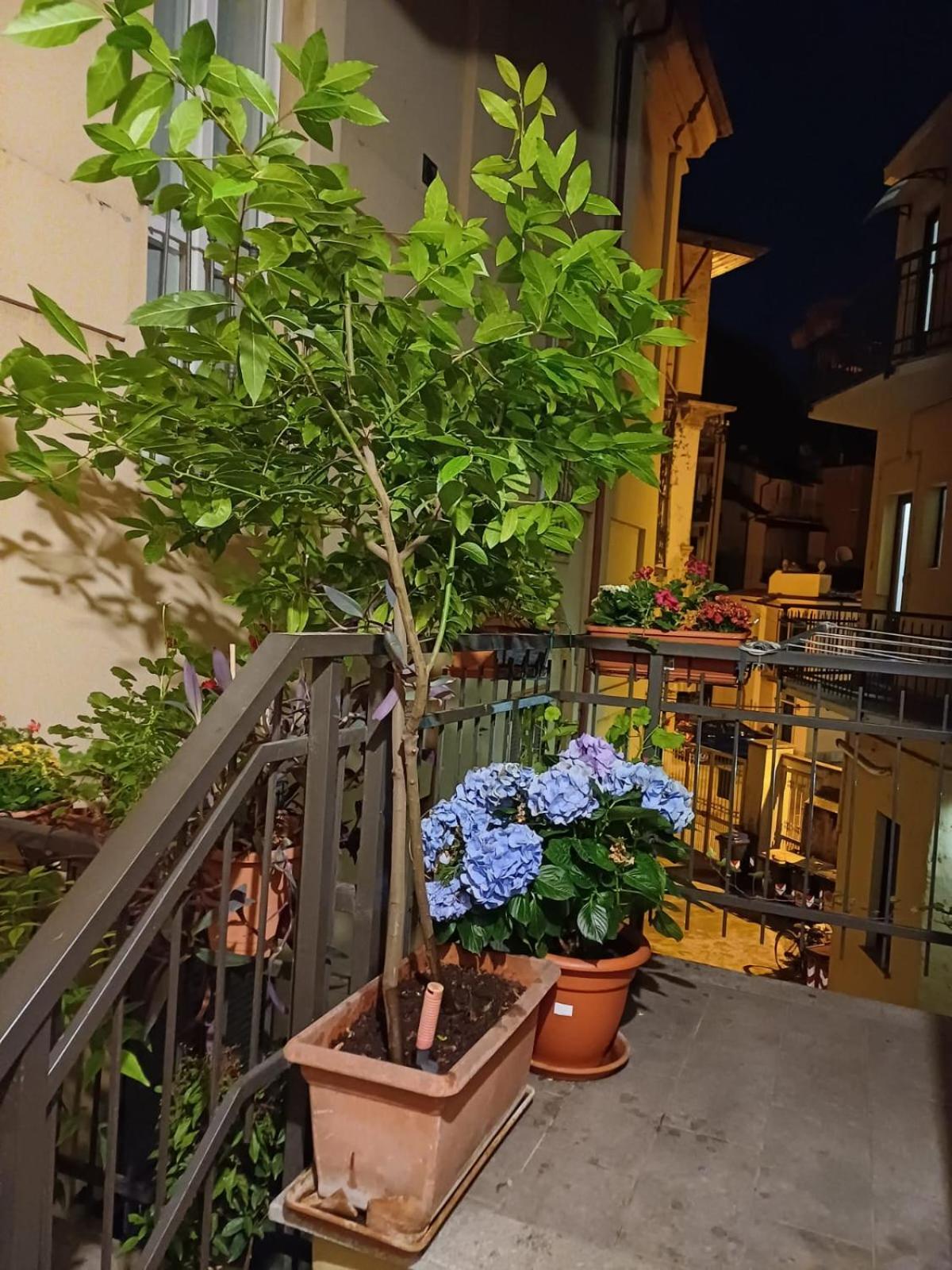 شقة La Terrazzina, Silenzioso, Zona Piazza Gran Madre تورينو المظهر الخارجي الصورة